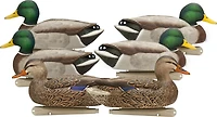 Avian-X Top Flight Open Water Mallards Decoys Set