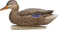 Avian-X Top Flight Open Water Mallards Decoys Set