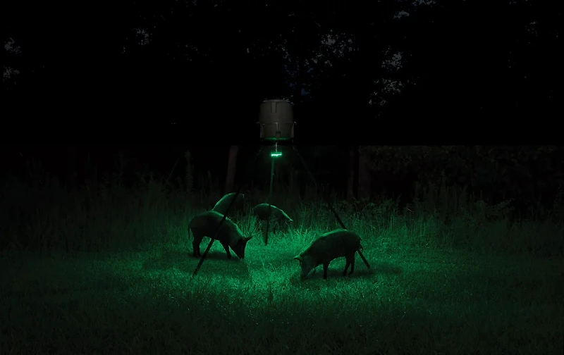 Moultrie Feeder Hog Light