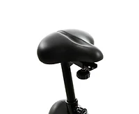 XTERRA EU Hybrid Elliptical Upright Bike