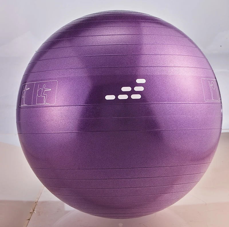 BCG 55 cm Weighted Stability Ball