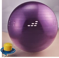 BCG 55 cm Weighted Stability Ball