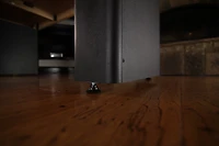 Atomic Platinum 9' Shuffleboard Table