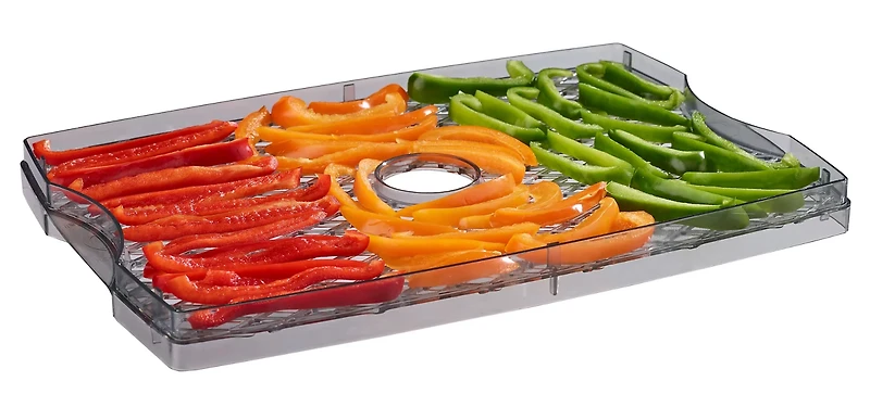 Game Winner 6 Tray Dehydrator