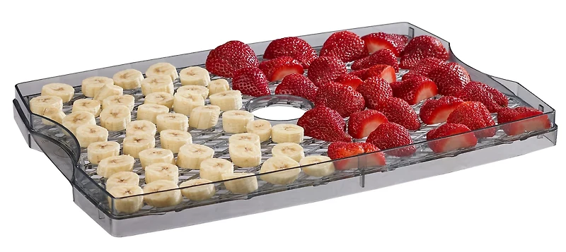 Game Winner 6 Tray Dehydrator