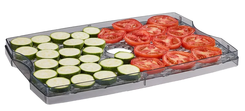 Game Winner 6 Tray Dehydrator
