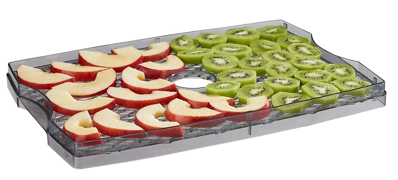Game Winner 6 Tray Dehydrator