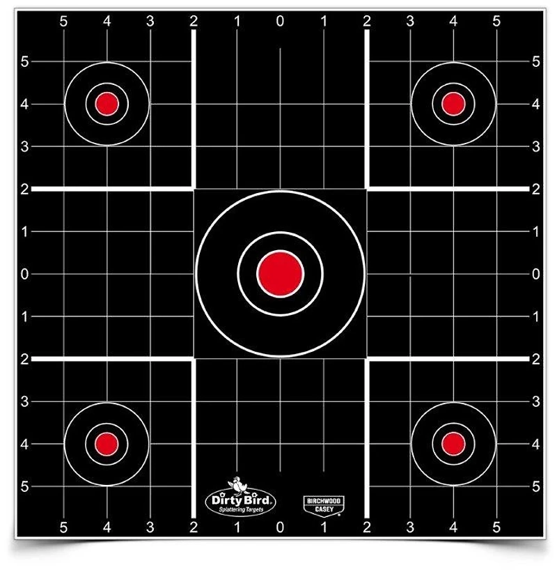 Birchwood Casey Dirty Bird 12 in Sight-in Targets 12-Pack