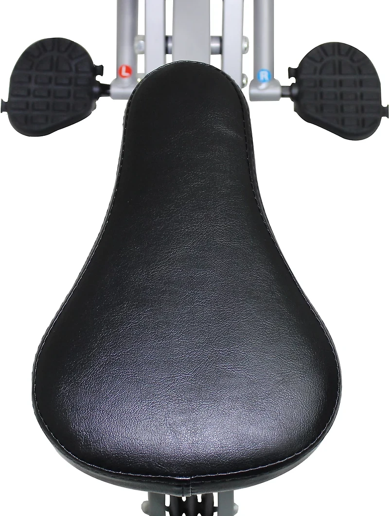 Sunny Health & Fitness Upright Row-N-Rider Exerciser