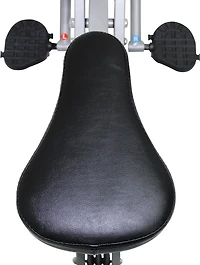 Sunny Health & Fitness Upright Row-N-Rider Exerciser