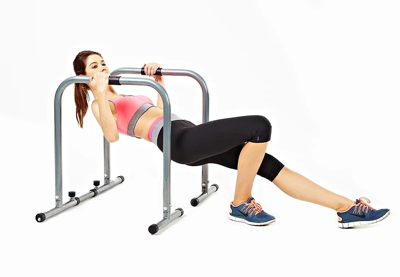 Sunny Health & Fitness Dip Station with Safety Connector