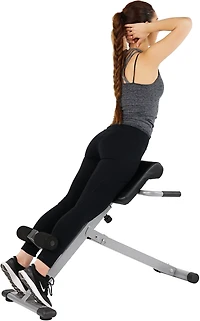 Sunny Health & Fitness 45-Degree Hyperextension Roman Chair