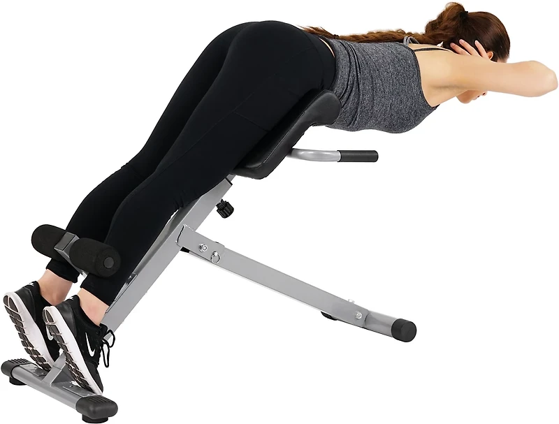 Sunny Health & Fitness 45-Degree Hyperextension Roman Chair