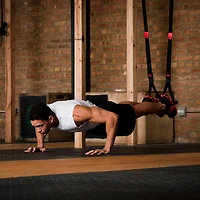 Lifeline Jungle Gym XT