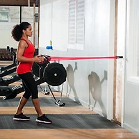 Lifeline Triple Grip Handles