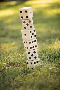 Triumph Big Roller Lawn Dice Game