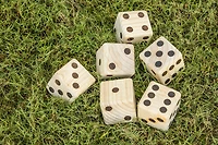 Triumph Big Roller Lawn Dice Game
