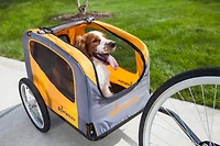 Schwinn Rascal Pet Trailer