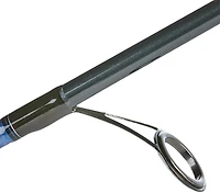 Daiwa Aird Coastal Inshore Saltwater Spinning Rod