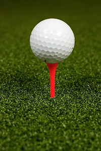 Players Gear 3-1/4 in Neon Hardwood Golf Tees 50-Pack