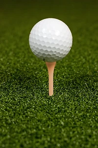 Players Gear 3-1/4 in Natural Hardwood Golf Tees 50-Pack