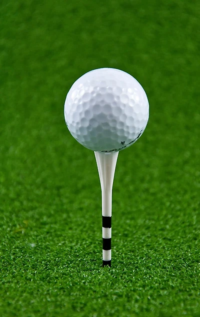 Players Gear 3-1/4 in Assorted No Resistance Lined Golf Tees 30-Pack