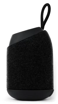 ECOXGEAR Roam 10 5 W Bluetooth Speaker
