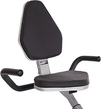 Stamina Recumbent Exercise Bike with Upper Body Exerciser