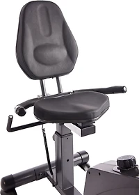 Stamina Elite Total Body Recumbent Bike