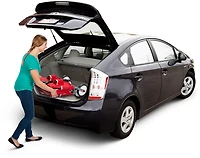 Radio Flyer Kids' 3-in-1 EZ Fold Wagon with Canopy