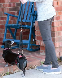 PetSafe Solvit CareLift Lifting Harness