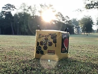 Morrell Yellow Jacket YJ-450 Plus Archery Target