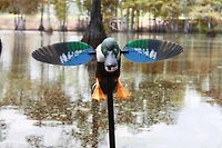 MOJO Outdoors Spoonzilla Spinning Wing Duck Decoy