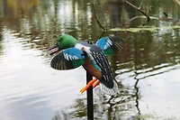 MOJO Outdoors Spoonzilla Spinning Wing Duck Decoy