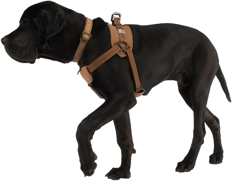 Carhartt Dog Walking Harness
