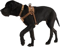 Carhartt Dog Walking Harness
