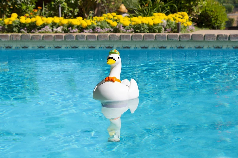 Poolmaster Goose Chlorine Dispenser