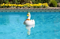 Poolmaster Goose Chlorine Dispenser