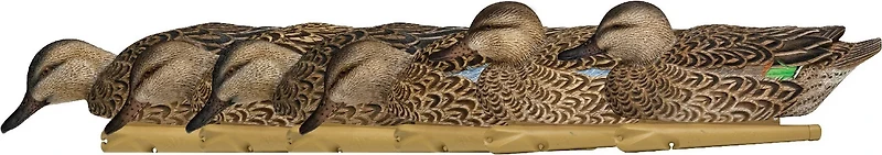 Avian-X Topflight Early Season Teal Decoys 6-Pack