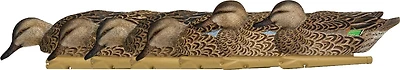 Avian-X Topflight Early Season Teal Decoys 6-Pack