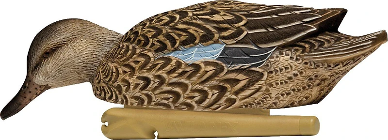 Avian-X Topflight Early Season Teal Decoys 6-Pack
