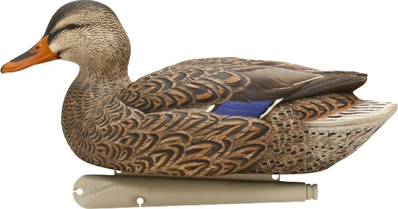 Avian-X Topflight Fusion Mallard Decoys 6-Pack