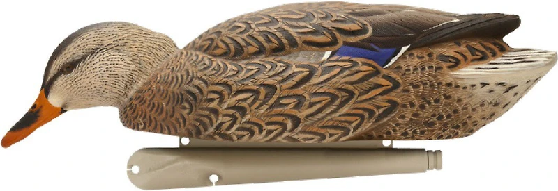 Avian-X Topflight Fusion Mallard Decoys 6-Pack