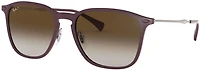 Ray-Ban 8353 Sunglasses