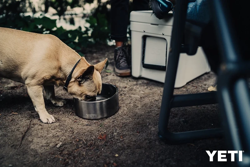 YETI Boomer 8 Dog Bowl