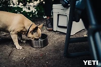 YETI Boomer 8 Dog Bowl