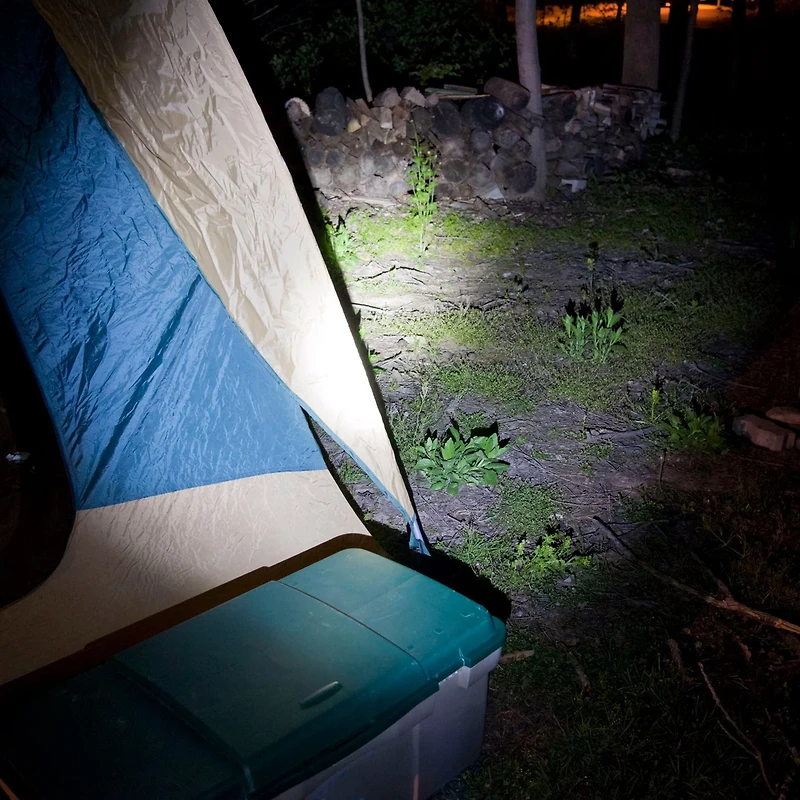 Dorcy 215-Lumen LED Headlamp