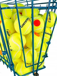 Gamma Orange Dot 60 Youth Tennis Balls 12-Count
