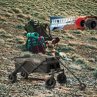 Creative Outdoor Silver Series All-Terrain Big Wheel Wagon