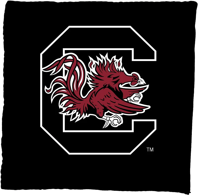 Victory Tailgate University of South Carolina Bean Bag Toss Game